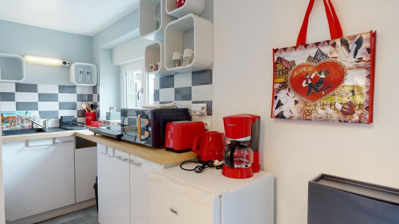 Studio Avec Parking Rue De La Semm Κολμάρ Εξωτερικό φωτογραφία